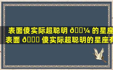 表面傻实际超聪明 🌼 的星座(表面 🐒 傻实际超聪明的星座有哪些)